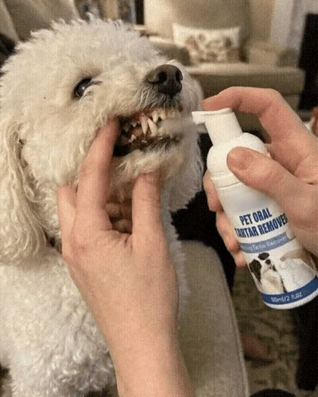 Pet Dental Tartar Care Spray