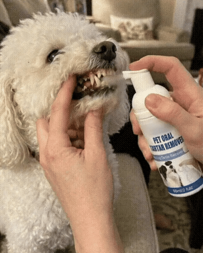Pet Dental Tartar Care Spray