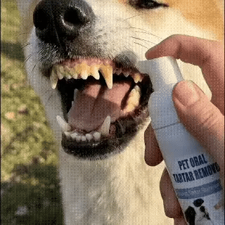 Pet Dental Tartar Care Spray